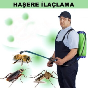 Çukurca Böcek İlaçlama